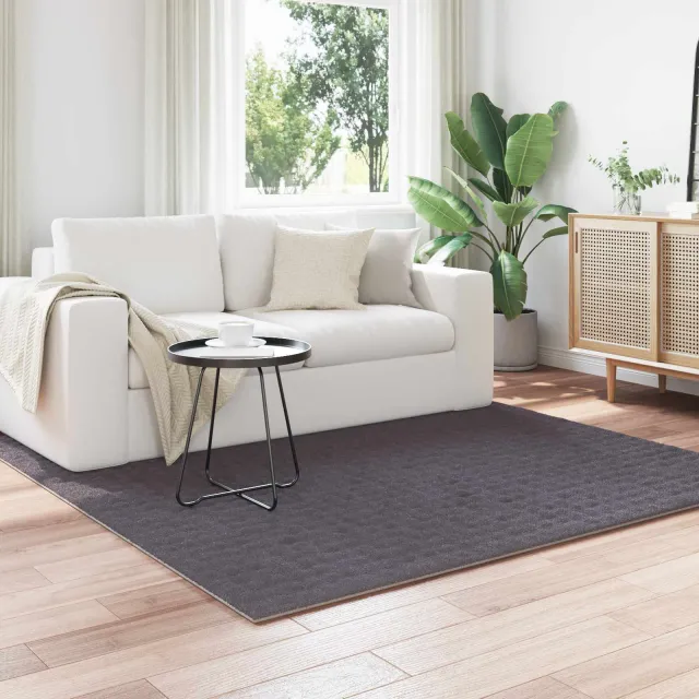 vidaXL Vloerkleden Vierkant SIROLO Antraciet 200 x 200 cm Polyester, foto 2