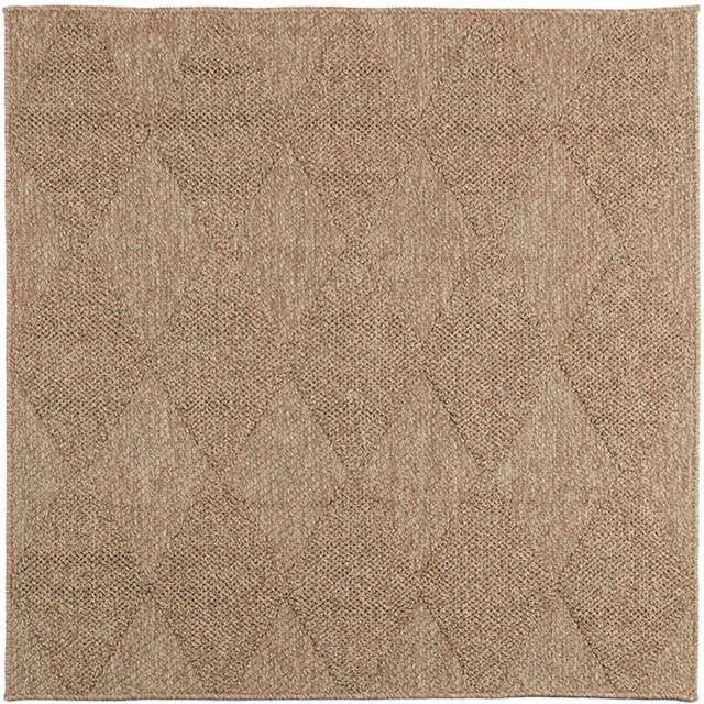 vidaXL Binnen- - en - buitenkleed - AGIRA - Naturel - 200 - x - 200 - cm - Polyester