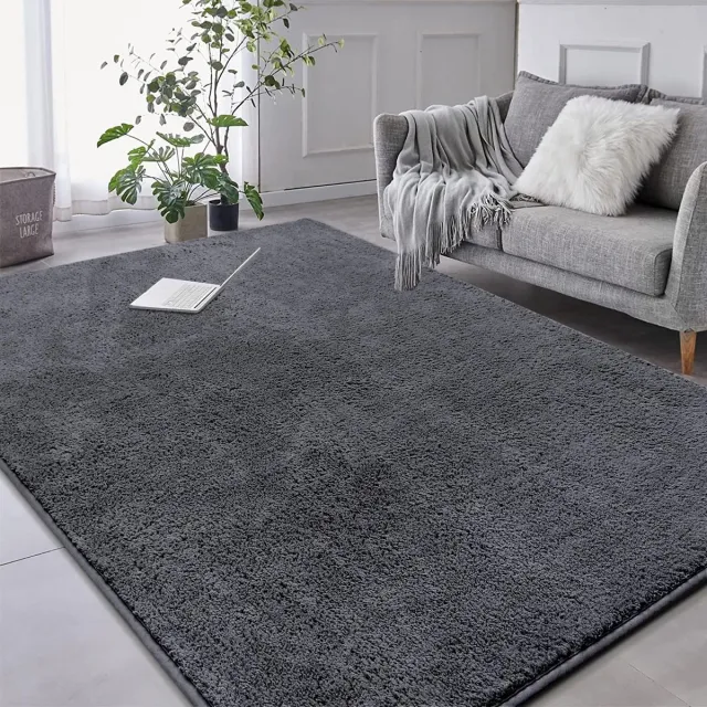 Ibenzoa Vloerkleed voor Woonkamer, 160 x 230 cm, Zacht en Wasbaar Microvezel Tapijt grijs