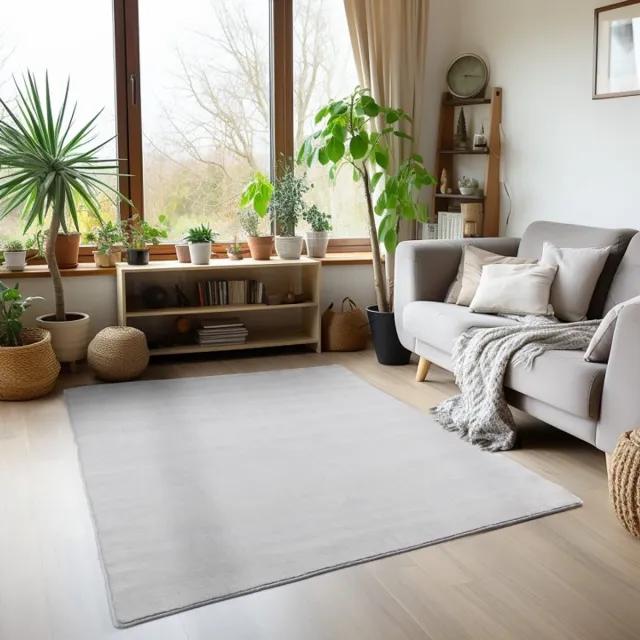 TapisTrend Designer tapijt Geld 160x230 cm Binnenkleed, zilverkleurig, voor de woonkamer, duurzaam en slijtvast, geschikt voor dagelijks gebruik, modern design