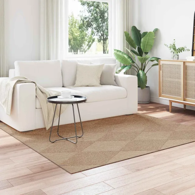 vidaXL Binnen- en buitentapijt AGIRA Naturel 240 x 240 cm Polyester, foto 2