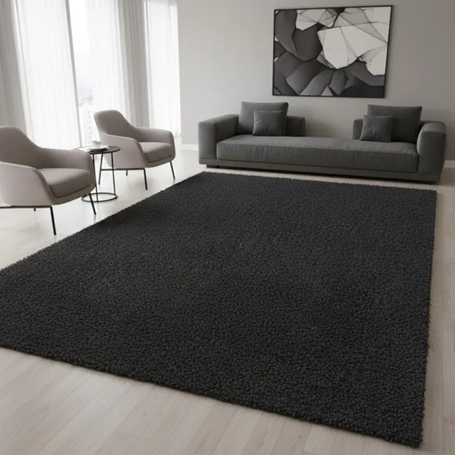 TapisTrend Harig tapijt Antraciet 120x170 cm Modern, effen, hoogpolig vloerkleed met een poolhoogte van 25 mm voor de woonkamer, slaapkamer en eetkamer