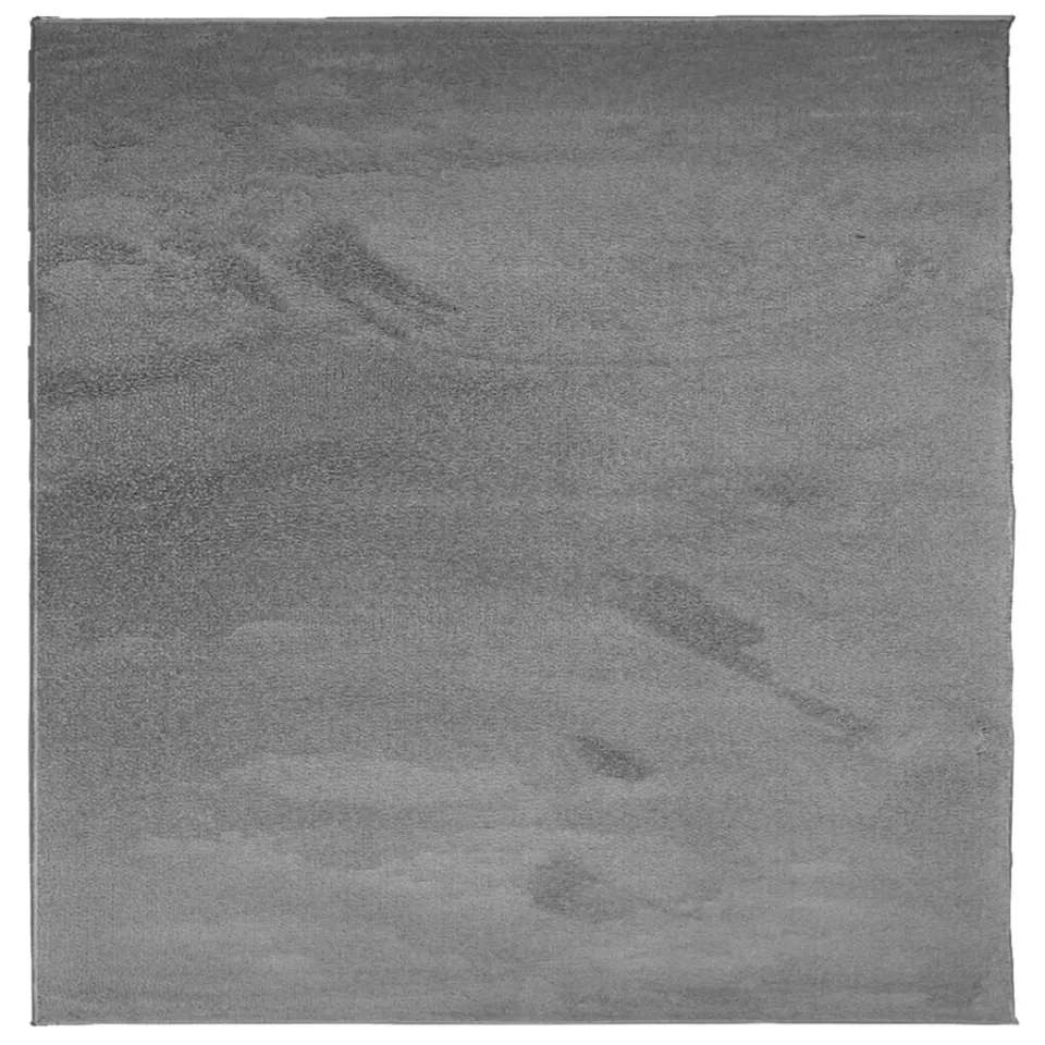 vidaXL Vloerkleed OVIEDO laagpolig 120x120 cm antracietkleurig, foto 3