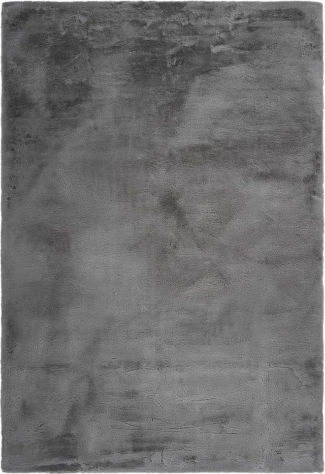 Muratap Tapijtenloods Fluffy Vacht Vloerkleed Woonkamer en Slaapkamer - Grijs - 120x170 CM - Superzacht Tapijt