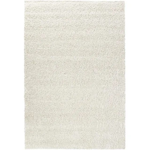 Budget Home Store Vloerkleed Teun wit 160x230cm