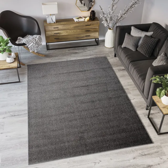 Tapiso Noyan Vloerkleed Tapijt Laagpolig Grijs Woonkamer Kleed Donkergrijs
