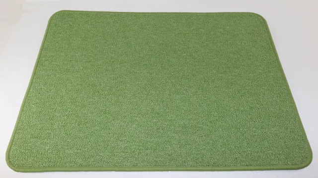 Prima Lieve - Vloerkleed - Inloopmat - munt groen - 60x80cm