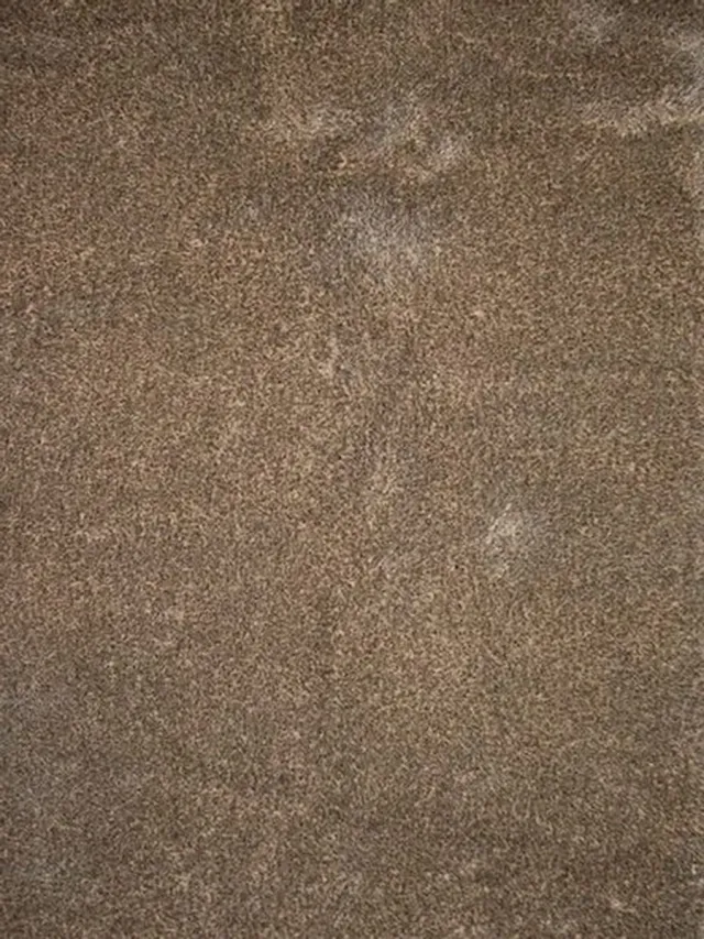 DÉJA Living Vloerkleed 200x290cm - Hoogpolig Beige Stof - Lavar Mix