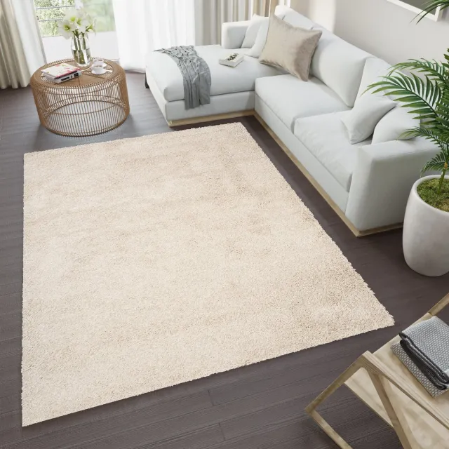 Tapiso Essence Vloerkleed Beige Hoogpolig Shaggy Tapijt Maat- 300x400