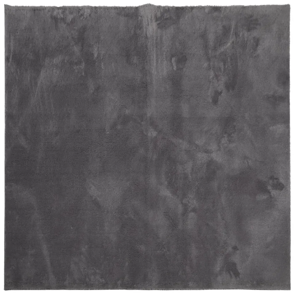 vidaXL Vloerkleed HUARTE laagpolig zacht wasbaar 200x200 cm antraciet, foto 3