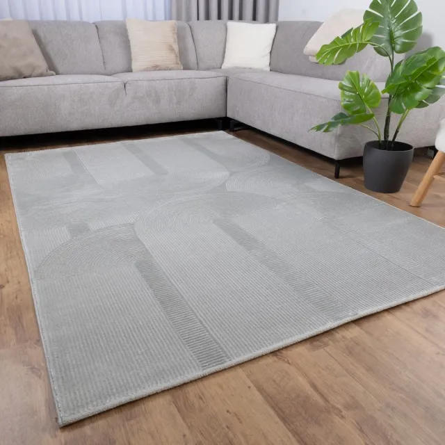 Koho Carpets Grijs Tapijt Kwalitatief Laagpolig Vloerkleed Koho Premium Touch 3D Toon op Toon Japandi Stijl - 200x200cm- Modern - Woonkamer - Salon - Slaapkamer - Eetkamer