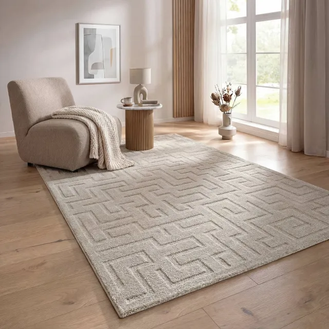 the carpet Elisa vloerkleed modern geometrisch zacht onderhoudsvriendelijk beige 120 x 160 cm