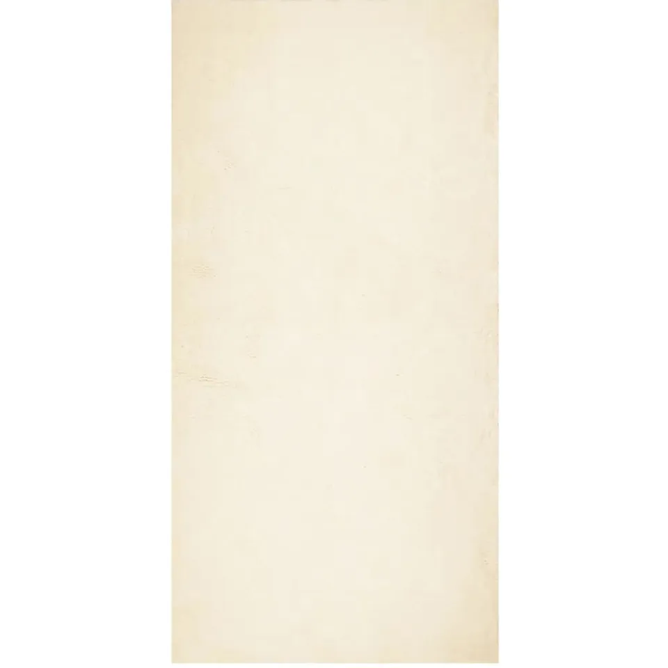 vidaXL Vloerkleed HUARTE laagpolig zacht wasbaar 100x200 cm crème, foto 3