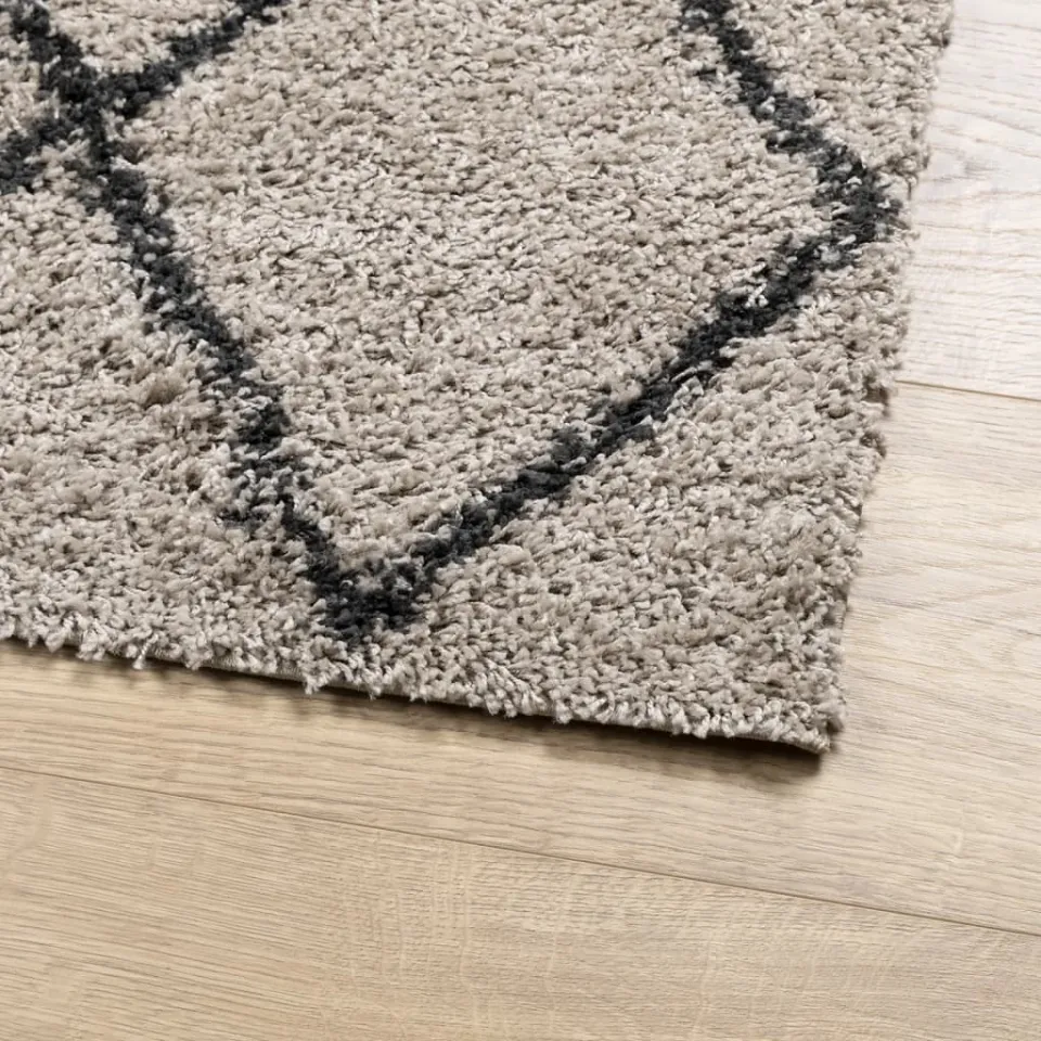vidaXL Vloerkleed PAMPLONA shaggy hoogpolig 80x250 cm beige antraciet, foto 4