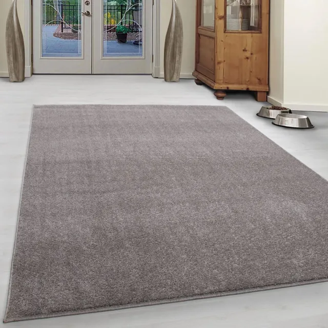 Ayyildiz / Carpetwinkel.nl Laagpolig vloerkleed, effen kleur - beige, woonkamerkleed, vilten achterkant, afmeting: 60 x 100 cm