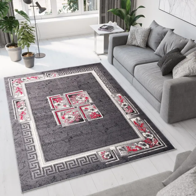 Tapiso Dream Vloerkleed Grijs Modern Gebloemd Woonkamer Tapijt Maat- 180x250 Grijs Rood 3