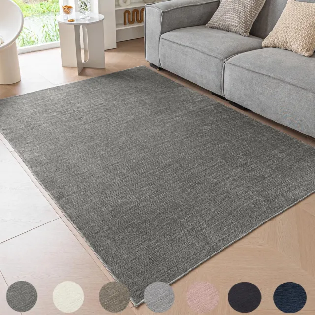 Ibenzoa Stijlvol en Wasbaar Laagpolig Tapijt voor Diverse Interieurs, 80 x 150 cm, Donkergrijs
