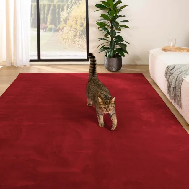 Tapeso Zacht vloerkleed - Plush rood