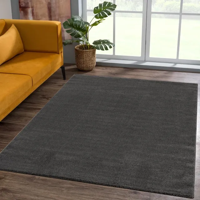 Famanu Laagpolig tapijt voor de woonkamer, effen moderne tapijten voor de slaapkamer, werkkamer, kantoor, hal, kinderkamer en keuken, donkergrijs, 60 x 110 cm