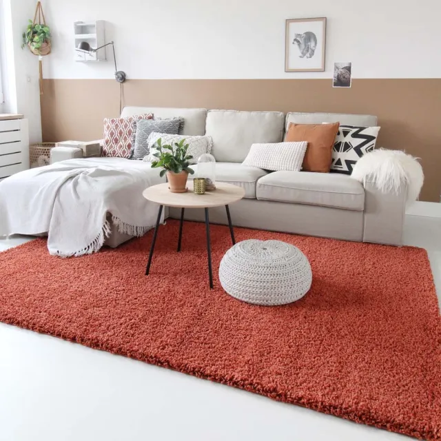 Tapeso Hoogpolig vloerkleed - Shaggy Trend terracotta 140x200