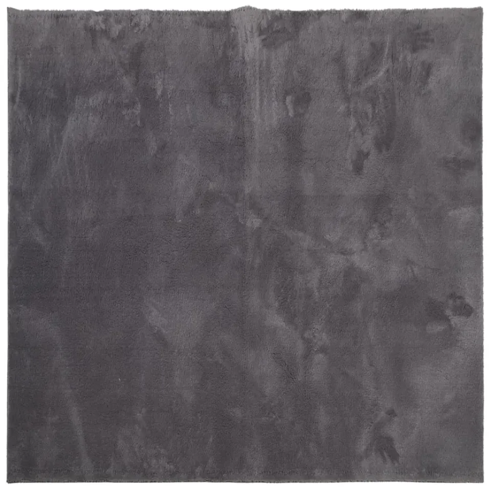 vidaXL Vloerkleed HUARTE laagpolig zacht wasbaar 160x160 cm antraciet, foto 3