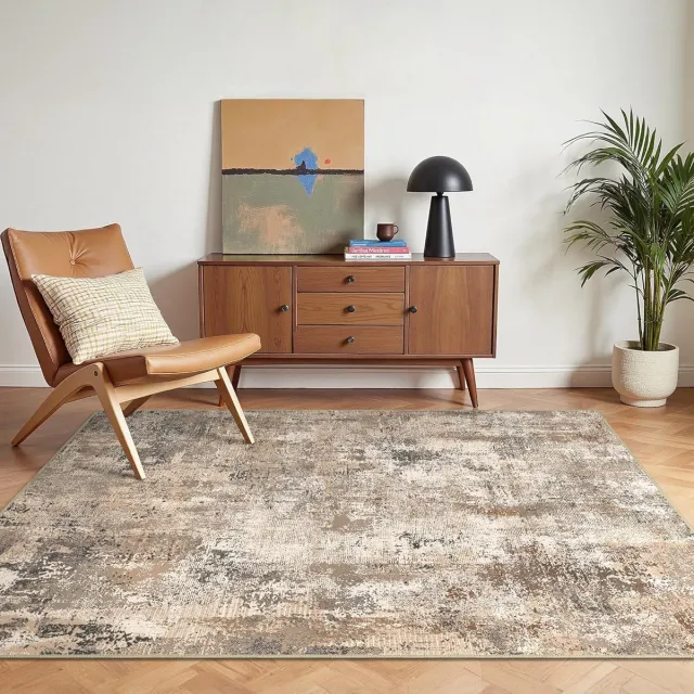BEIMO Abstract Vloerkleed voor Woonkamer en Slaapkamer - Antislip en Wasbaar , 160x230cm Zie afbeelding