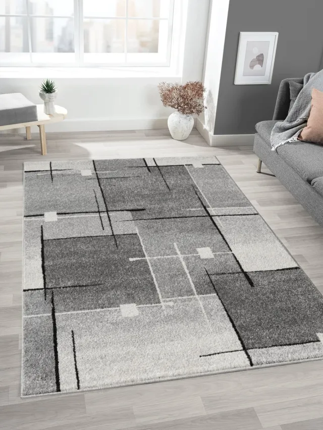 Mia´s Teppiche Mia’s Teppiche Modena – moderne korte pool woonkamer & slaapkamer vloerkleed, contour gesneden, grijs contour, 160 x 220 cm