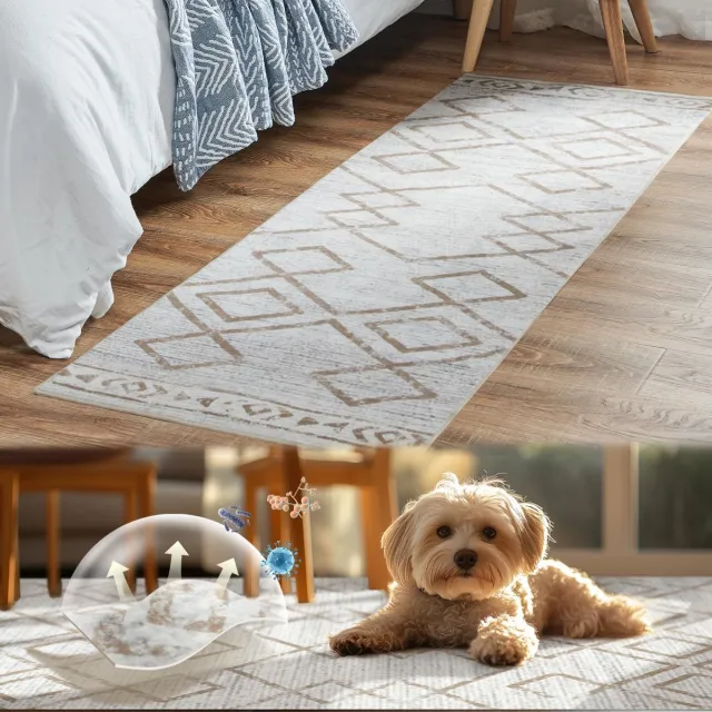 Ibenzoa Wasbare Antislip Deurmat met Modern Geometrisch Ontwerp voor Diverse Interieurs, 60 x 90 cm, Taupe bruin