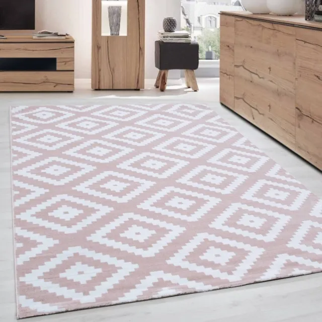 TapisTrend Designer tapijt Roze 160x230 cm Binnenkleed, voor de woonkamer, antislip, voor dagelijks gebruik, bohemian stijl, wasbaar