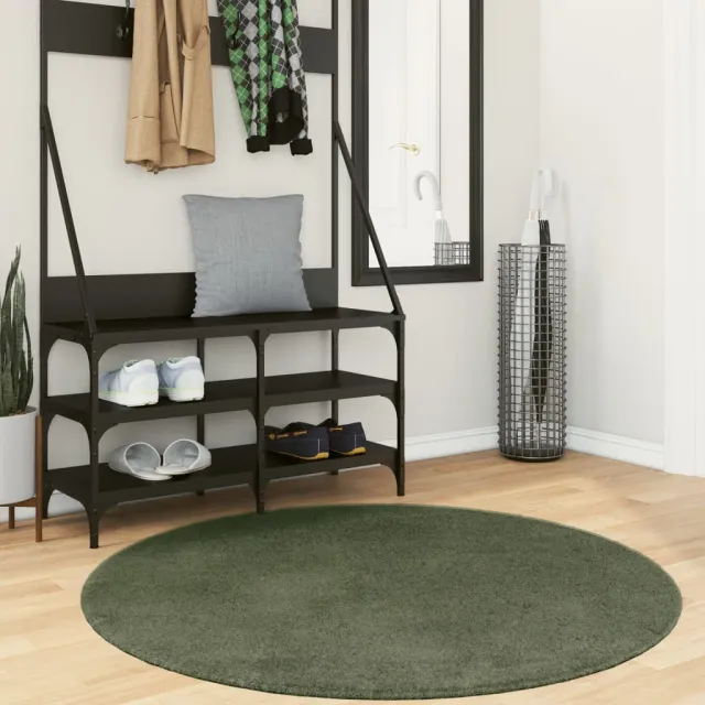 vidaXL Rug HUARTE Green Ø 120 cm 100% Polyester Plat, foto 2