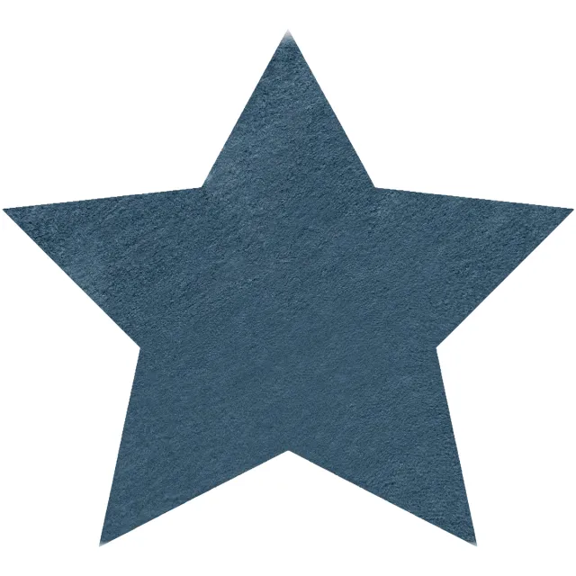 RUGSX Kleden Rugsx Modern wastapijt SHAPE 3148 Ster shaggy - 80x80 cm Blauw