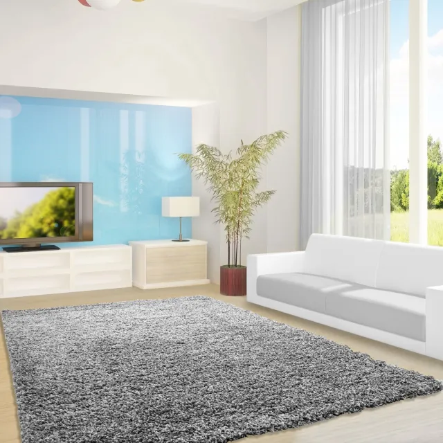 Ayyildiz Hoogpolig vloerkleed, effen kleur - lichtgrijs, vloerkleed voor de woonkamer, jute achterkant, afmeting: 60 x 110 cm