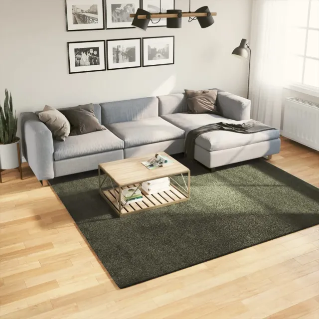 vidaXL Vloerkleed HUARTE Green 240 x 240 cm 100% Polyester Plat Groen