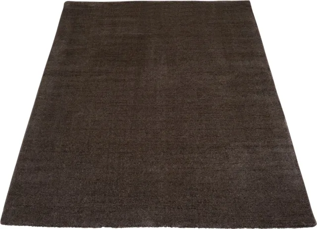 Veer Carpets Vloerkleed Rich Bruin, foto 2