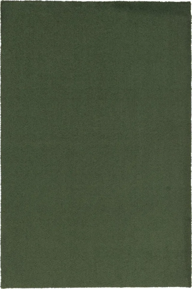 Snapstyle Vloerkleed Luxe Shaggy Fluweel Groen