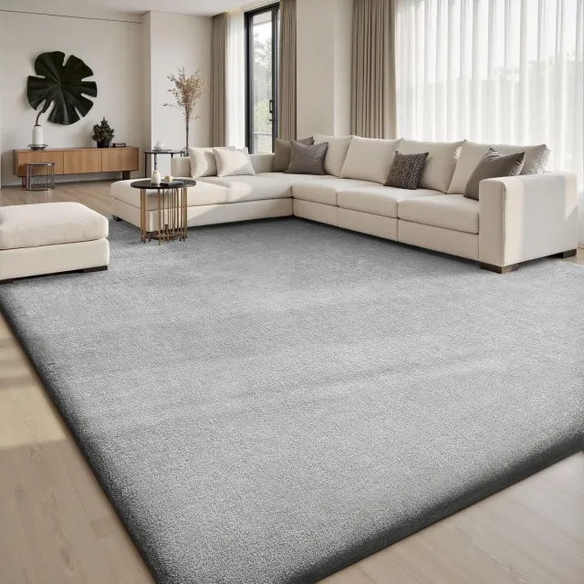 Famanu Groot vloerkleed van 200 x 300 cm, grijs tapijt voor de woonkamer, wasbaar en antislip, pluizig shaggy ontwerp, ideaal voor slaapkamer en kinderkamer