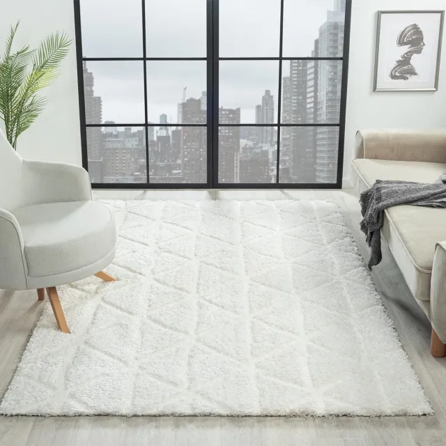 Ibenzoa Ultrazacht Hoogpolig Tapijt met Luxe Patroon voor Elke Kamer, 120x170 cm wit