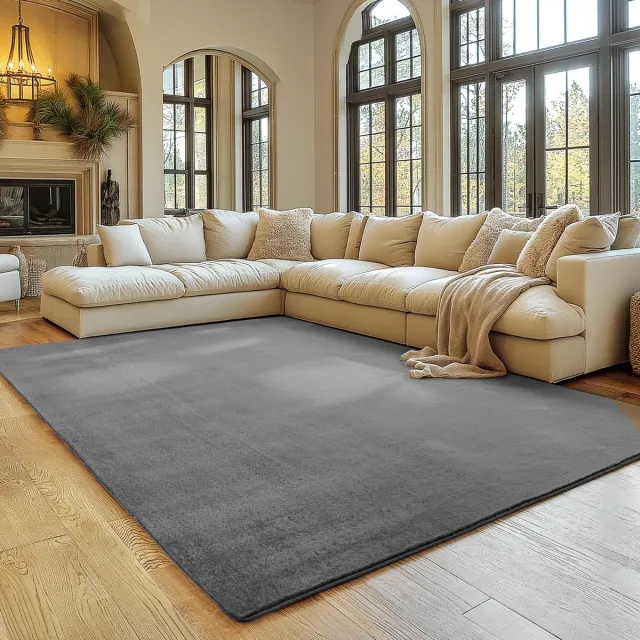 Famanu Vloerkleed in grijs, 160x220 cm, wasbaar, korte stapel, antislip en zacht, modern effen design voor woonkamer en slaapkamer