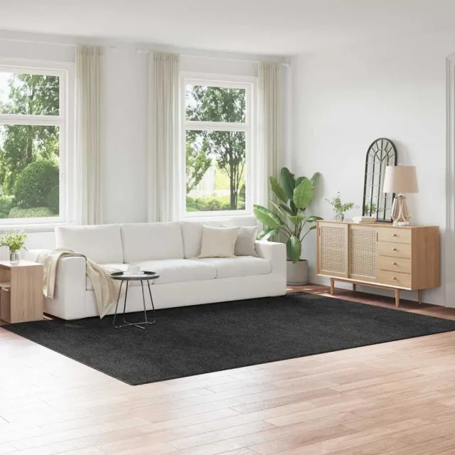 vidaXL Antislip Shaggy Tapijt Donkergrijs 240 x 340 cm PP grijs, foto 2