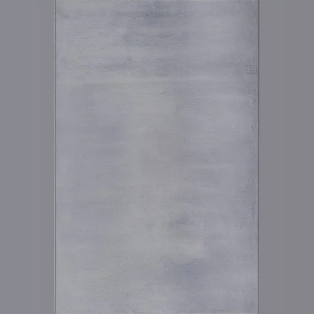 the carpet , Cosy Vloerkleed, Knuffelzacht bontkleed, wasbaar, Grijs, 160x220 cm
