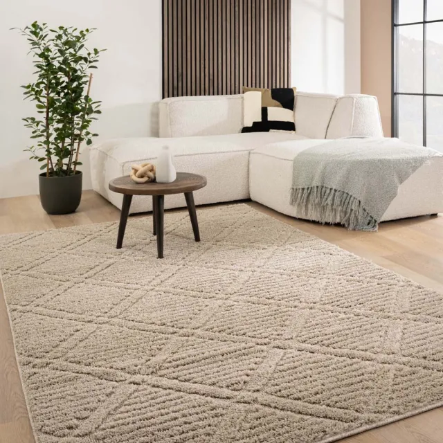 Tapeso Scandinavisch vloerkleed - Arc Gem beige 80x150