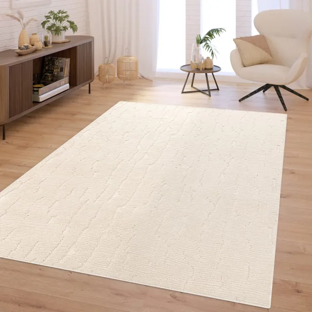 TT Home Woonkamertapijt Diepe pool Scandinavisch Boho Wasbaar Abstract Patroon Zacht 80 x 150 cm Rechthoek 80 x 150 cm Rechthoek Beige;Crème