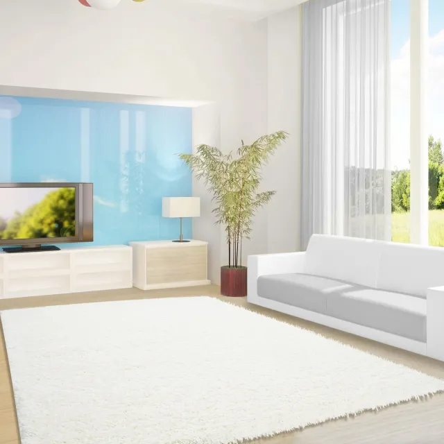 Ayyildiz Hoogpolig vloerkleed, effen kleur - crème, vloerkleed voor de woonkamer, jute achterkant, afmeting: 240 x 340 cm